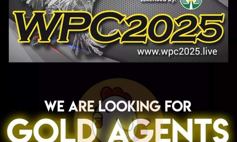 Tips About WPC2025: Detailed From Industry Expe